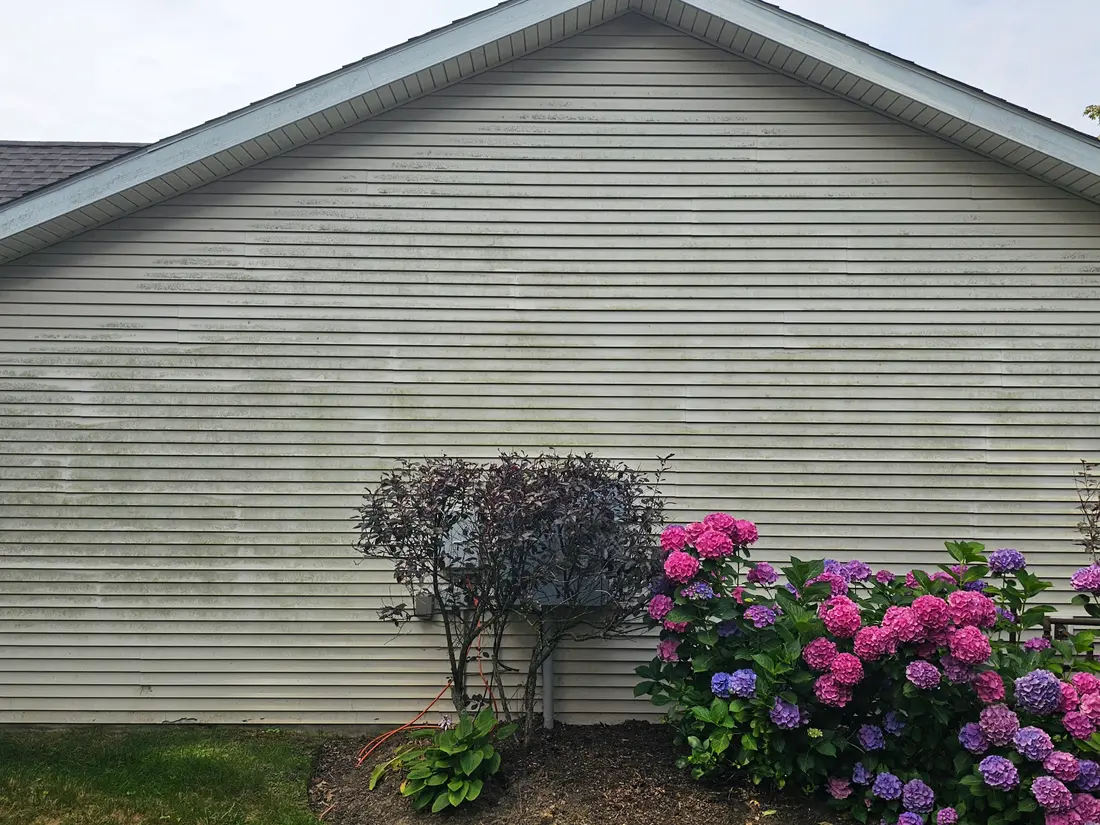 Before: Gable wall above hydrangeas before and after washing